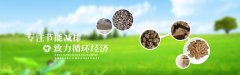 生物質(zhì)能發(fā)電解決方案